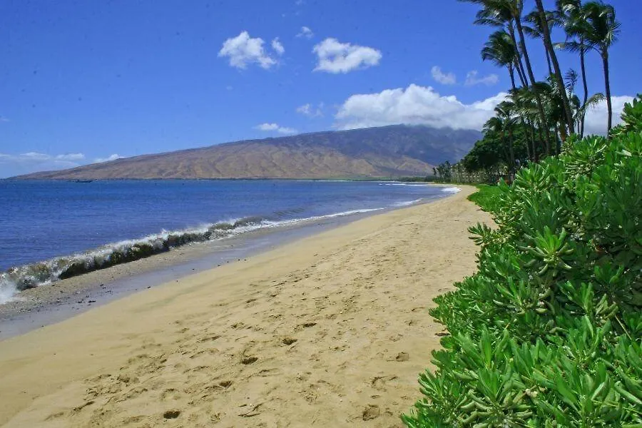 Kihei Beach, #207 Condo 0*,  USA